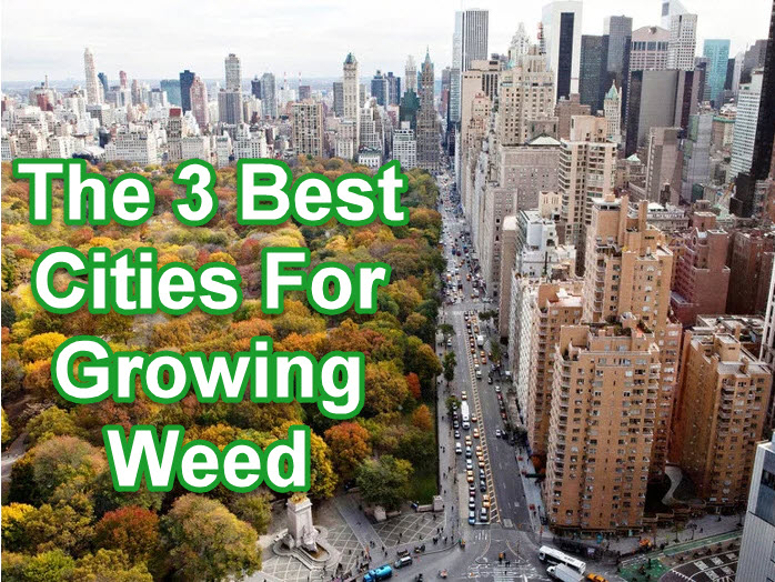 BEST WEED GROWING CITIES IN AMERICA