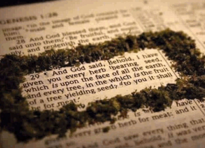 bible verse on cannabis