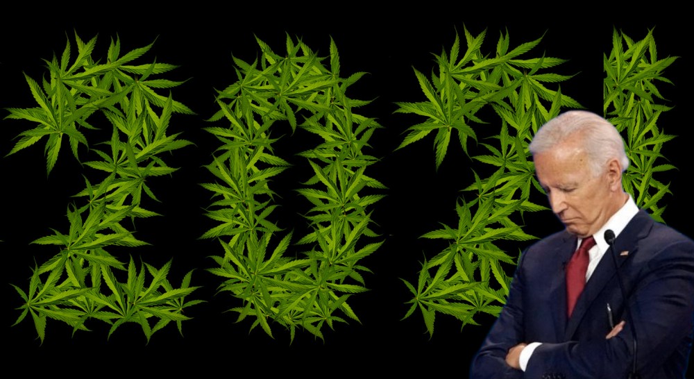 BIDEN ON MARIJUANA 