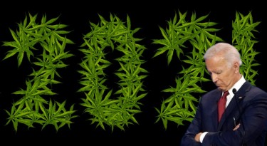 BIDEN TO PARDON CANNABIS PRISIONERS 