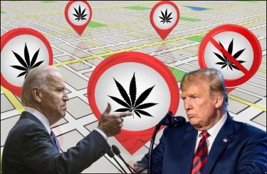 Biden and Trump supports on recreational marijuana
