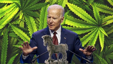 BIDEN STATEMENT ON WEED