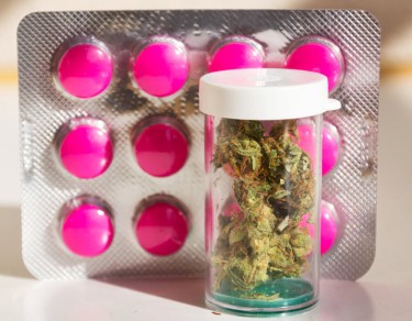 Big Pharma marijuana Pfizer