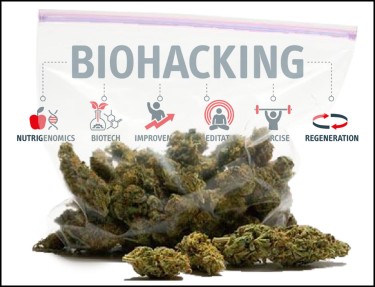 biohacking dopamine cannabis