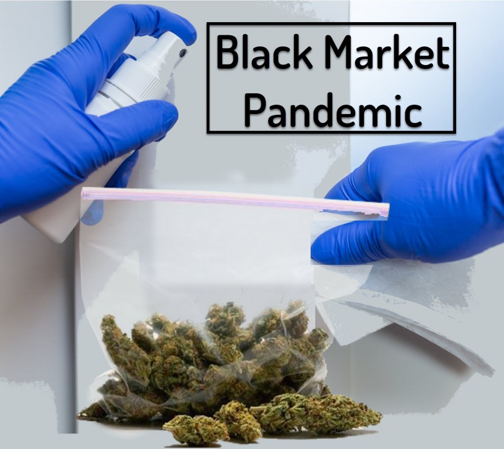 BLACK MARKET SALES PANDEMIC MARIJUANA