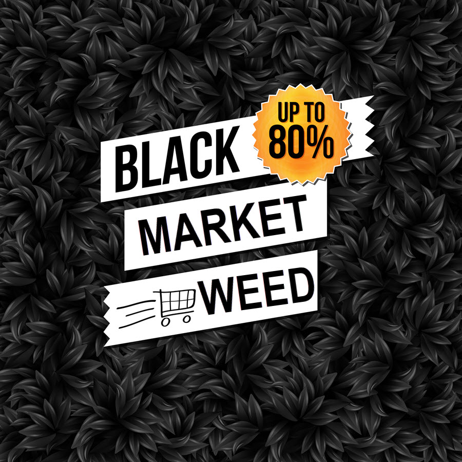 black market marijuana solved