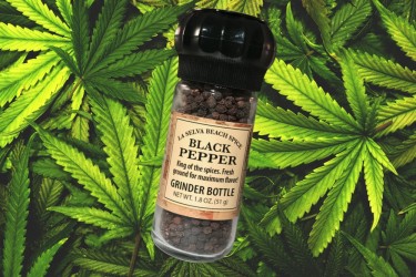 BLACK PEPPER FOR TOO MUCH MARIJUANA