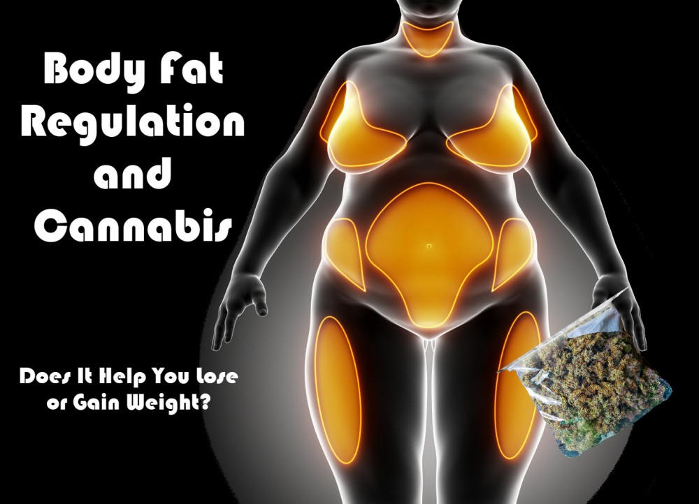 BODY FAT AND CANNABIS
