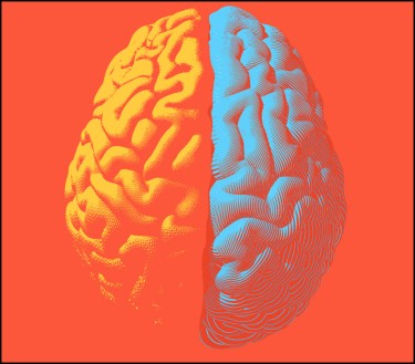 brain scans for marijuana DUIs