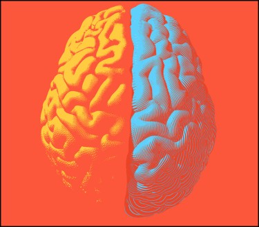 DUI BRAIN SCANS FOR MARIJUANA