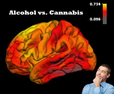 cortex thickness and marijuana
