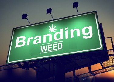 IS BRANDING MORE IMPORTANT IN CANNABIS