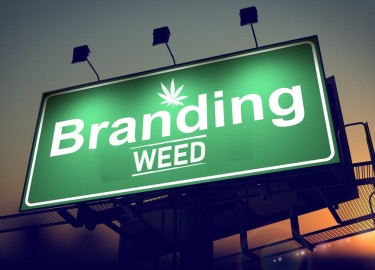 BRANDING IS MORE IMPORTANT IN CANNABIS