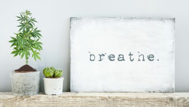 breathe and canabis for trauma