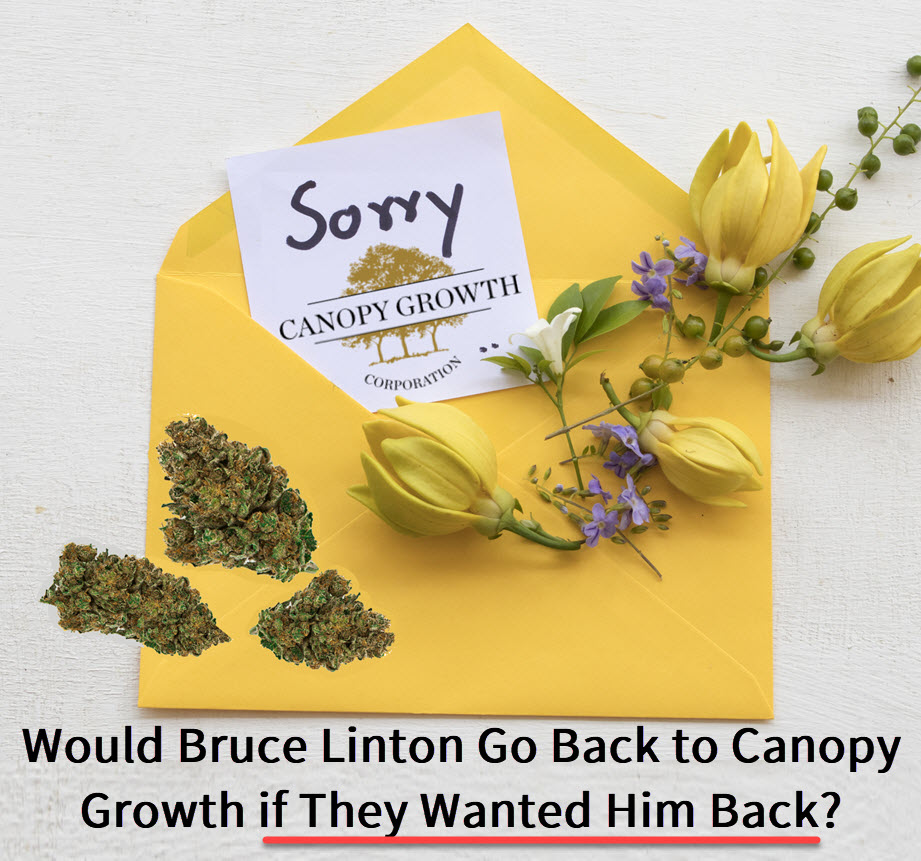 WOULD BRUCE LINTON GO BACK TO CANOPY GROWTH
