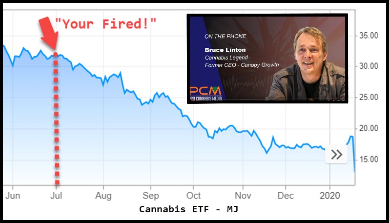 bruce linton fired stocks go down