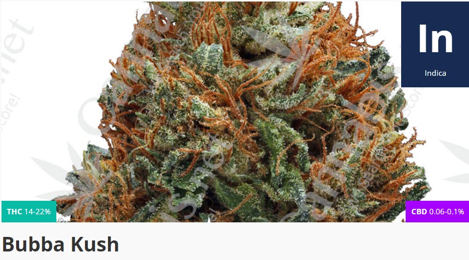 Bubba Kush strain