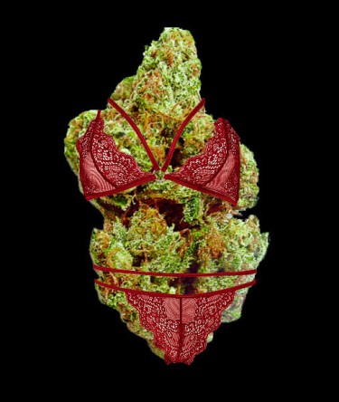 marijuana bud porn