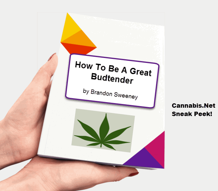 how to become a budtender