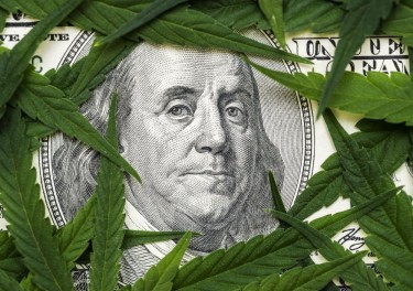 cannabis business loans