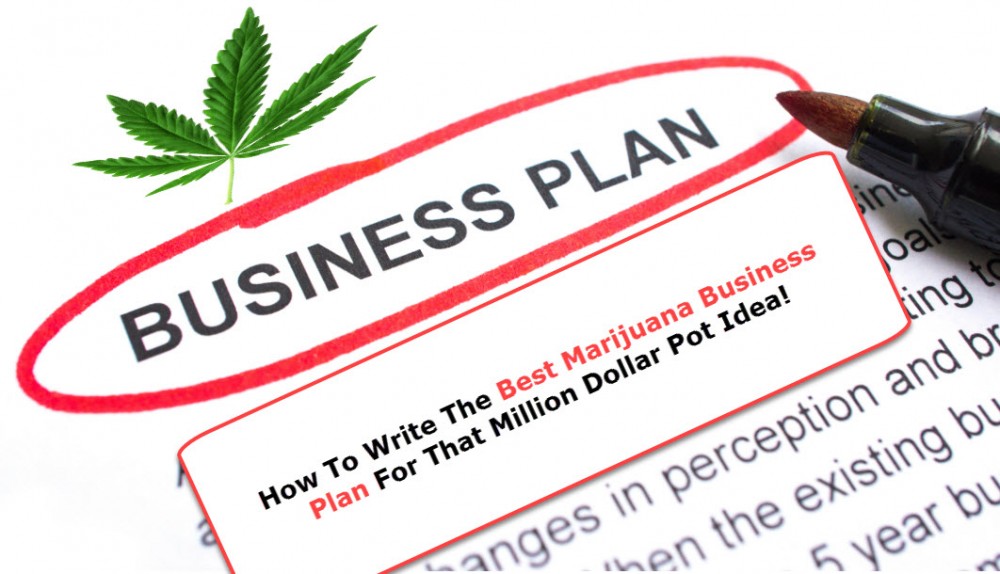 HOW TO WRITE A MARIJUNA BUSINESS PLAN