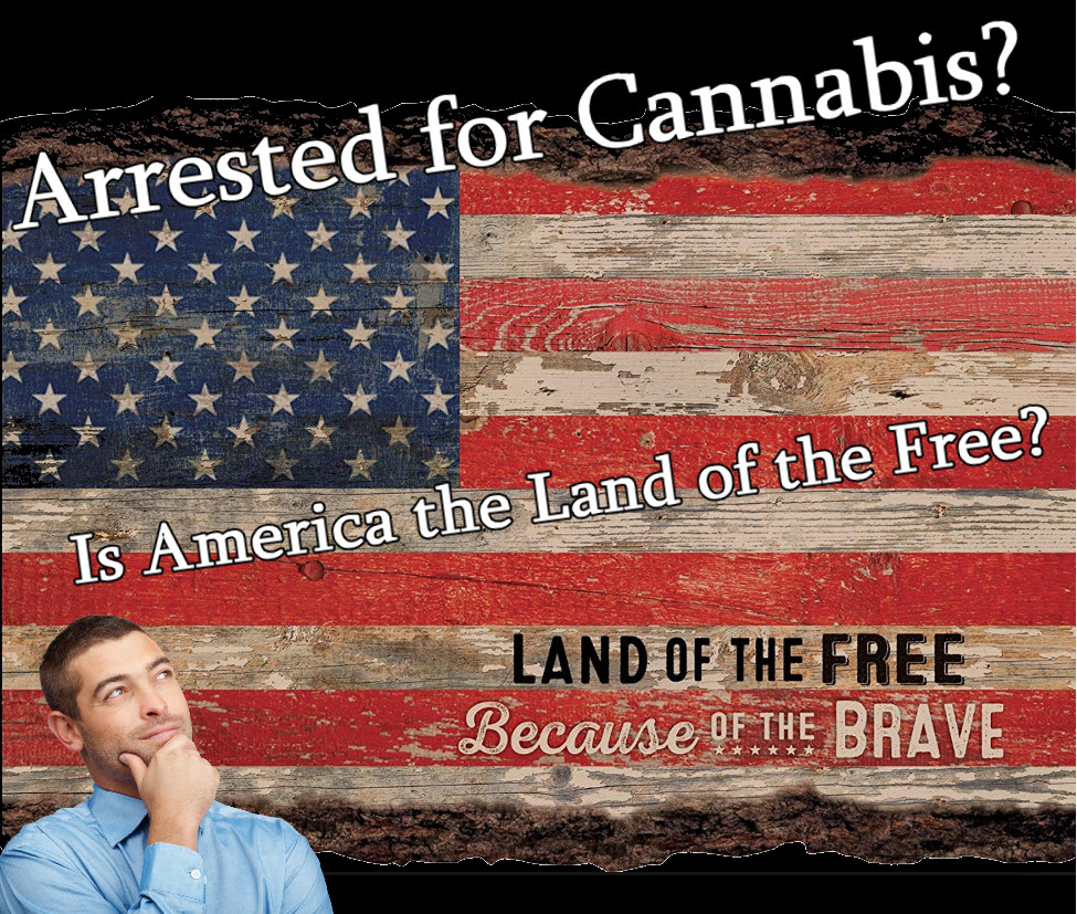 arrested for cannabis in america