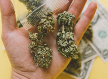 buying cannabis flower mistakes