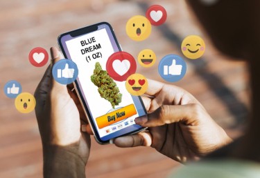 buyind weed on social media