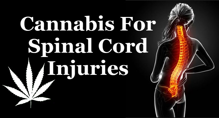 MARIJUANA AND SPINAL INJURIES