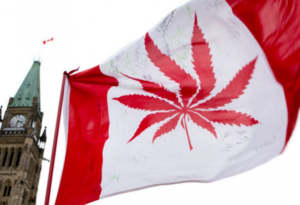 canada cannabis driving laws