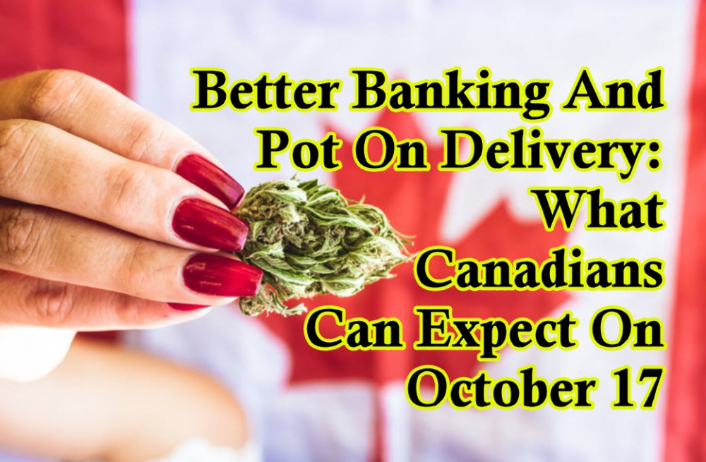 BETTER CANNABIS BANKING IN CANADA