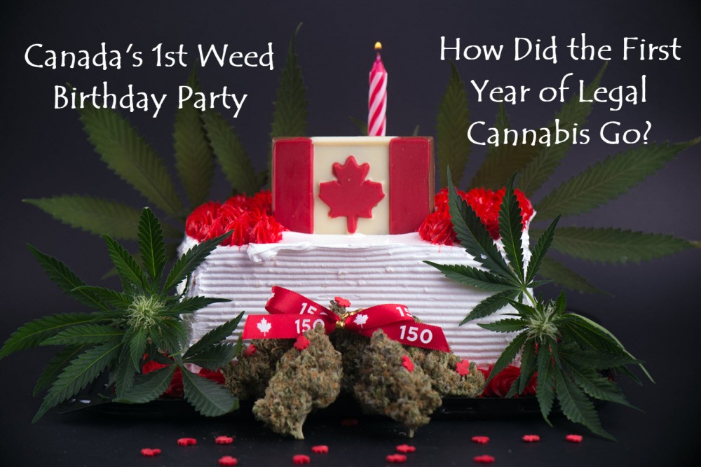 canada's one year of legal cannabis lookback