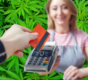 70% OF CANADIANS ONLY BUY WEED FROM LEGAL SOURCES