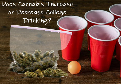 cannabis effects on college drinking