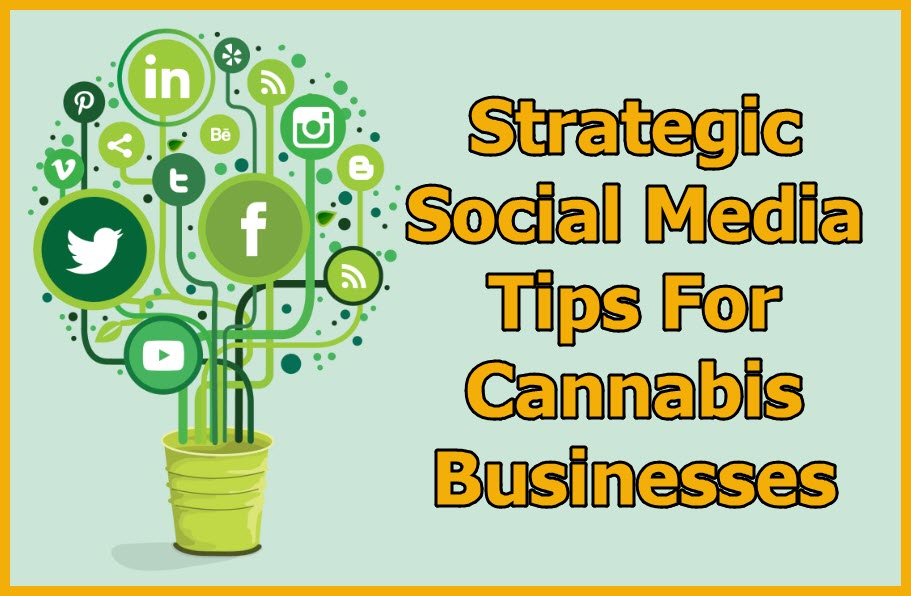 cannabis social media tips