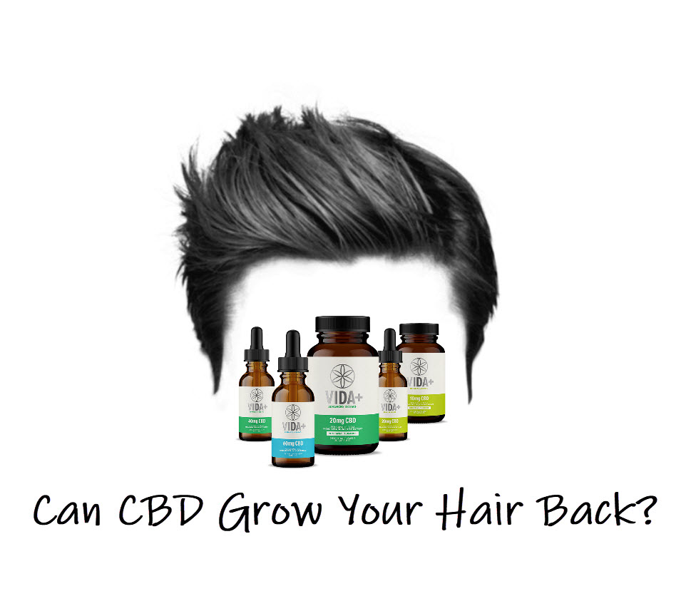 CBD FOR HAIR LOSS BALDING