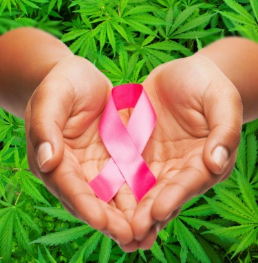 cancer survivors cannabis for sleep