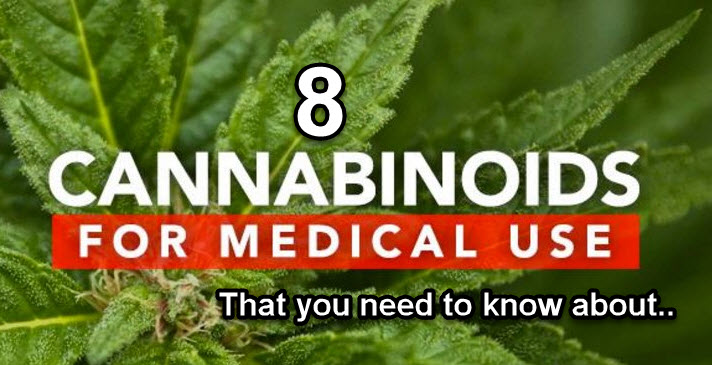 CANNABINOIDS THAT WORK IN THE BODY