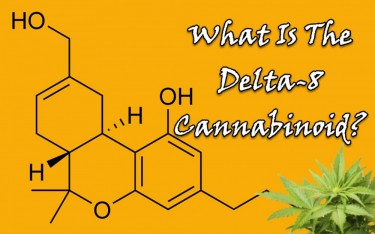 DELTA 8 CANNABINOIDS