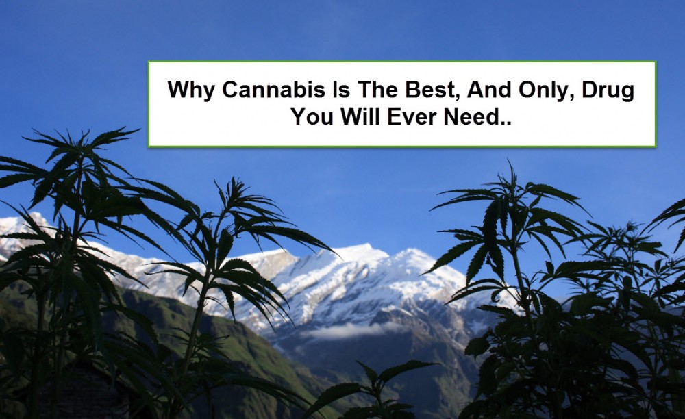 CANNABIS IS THE ONLY DRUG YOU NEED