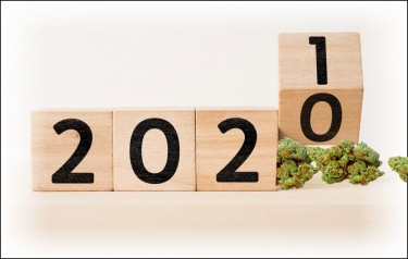 cannabis for 2021