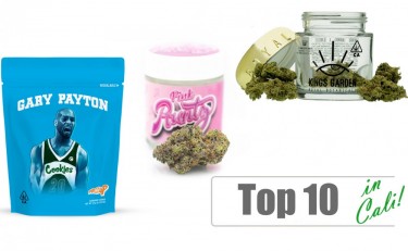 TOP 10 CANNABIS STRAINS IN CALIFORNIA