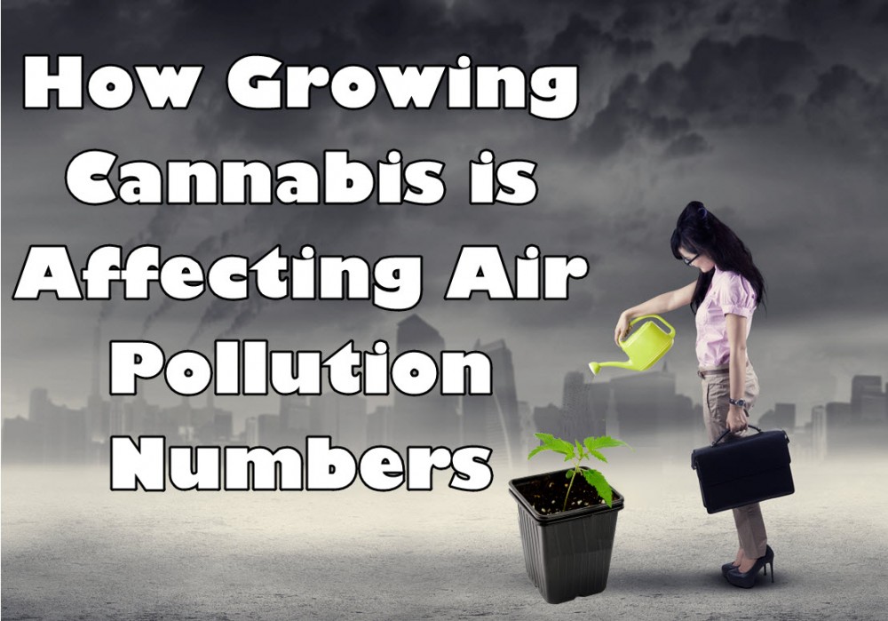 CANNABIS AIR POLLUTION