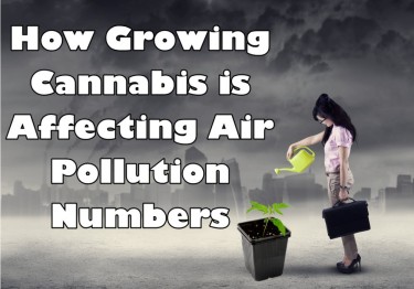 CANNABIS AFFECT AIR POLLUTION