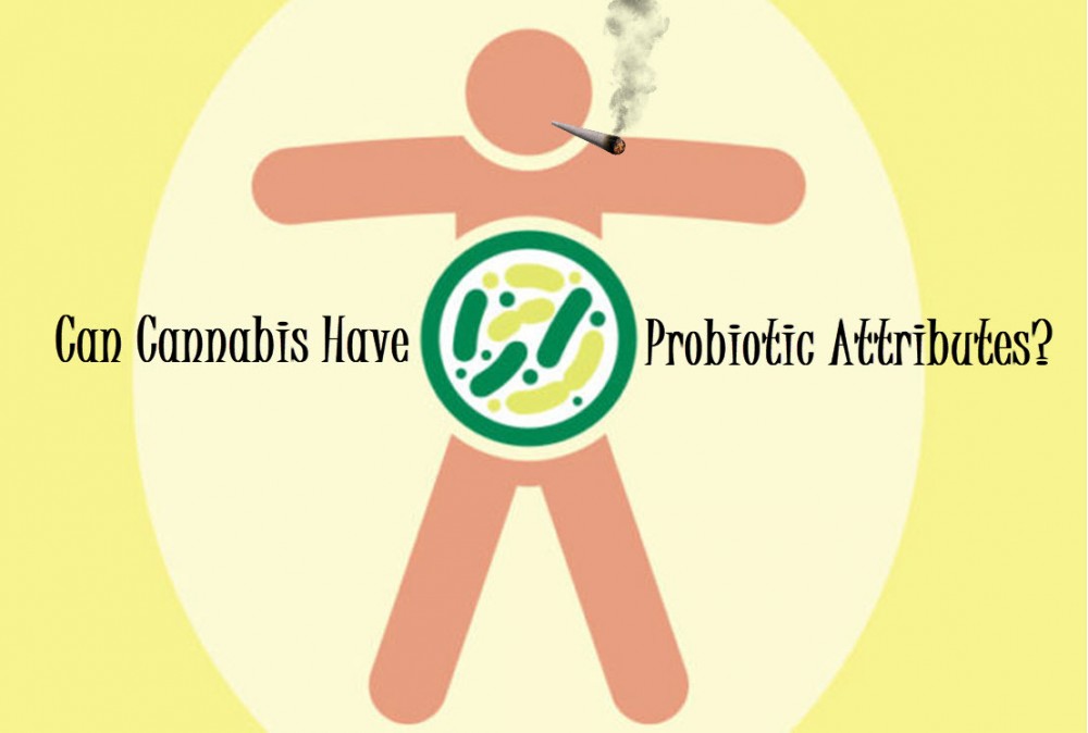 IS MARIJUANA A PROBIOTIC