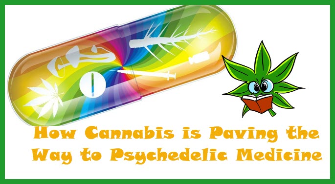 PSYCHEDELICS AND CANNABIS