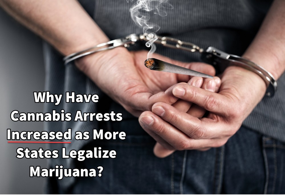 cannabis arrest rate