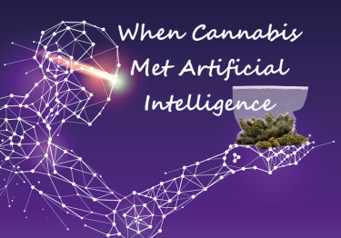 CANNABIS AND ARTIFICIAL INTELLIGENCE