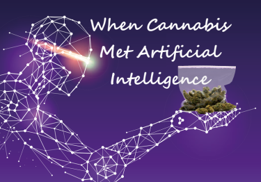 CANNABIS AND AI MEET