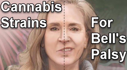 marijuana strains for bell's palsy